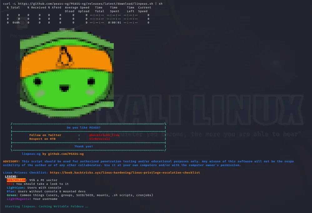 linpeass first scanning results page
