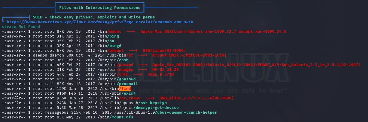 linpeass results page with find highlited